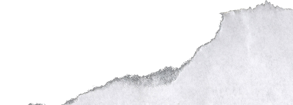 White Paper